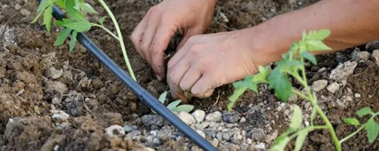 Damla Sulama Nasıl Kurulur? Adım Adım Eksiksiz Kurulum Rehberi