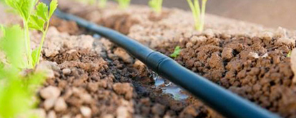 Damla Sulama Sistemleri ile Tarımda Verim Artışı Nasıl Sağlanır?