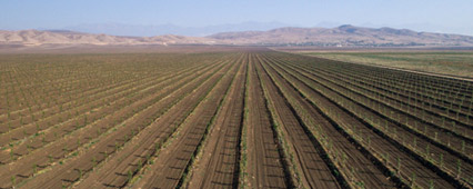 Damlama Sulama Fiyatları 2025