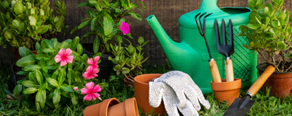 Hobi Bahçeleri İçin Damla Sulama: Küçük Alanlarda Büyük Tasarruf