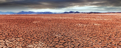 Kuraklıkla Mücadelede En Etkili Yöntem: Damla Sulama Sistemlerinin Rolü