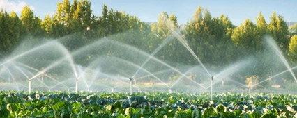 Yağmurlama Sulama Sistemleri